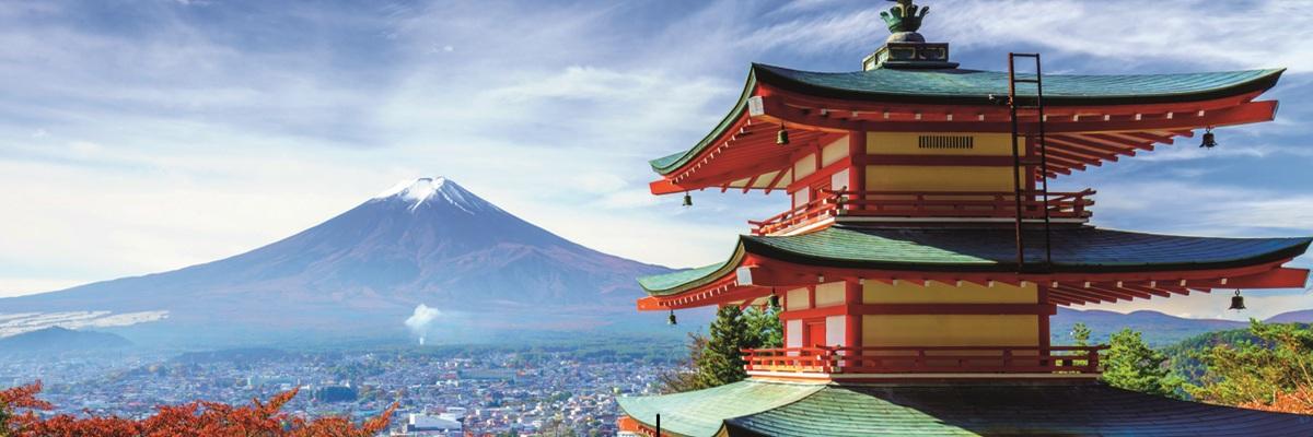 Exclusively for Solo Travellers - Japan Revealed